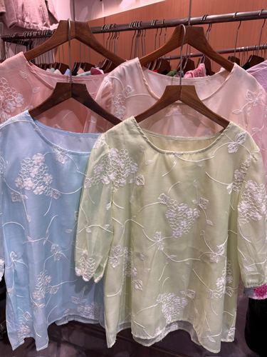 Embroidered sheer blouse