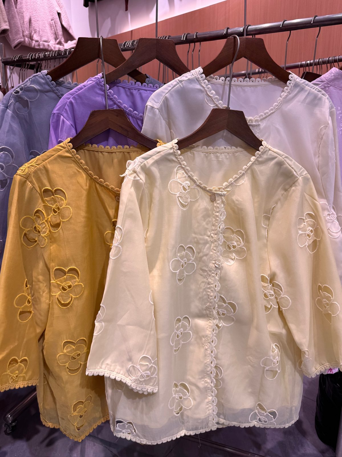 Embroidered lace-trim blouse